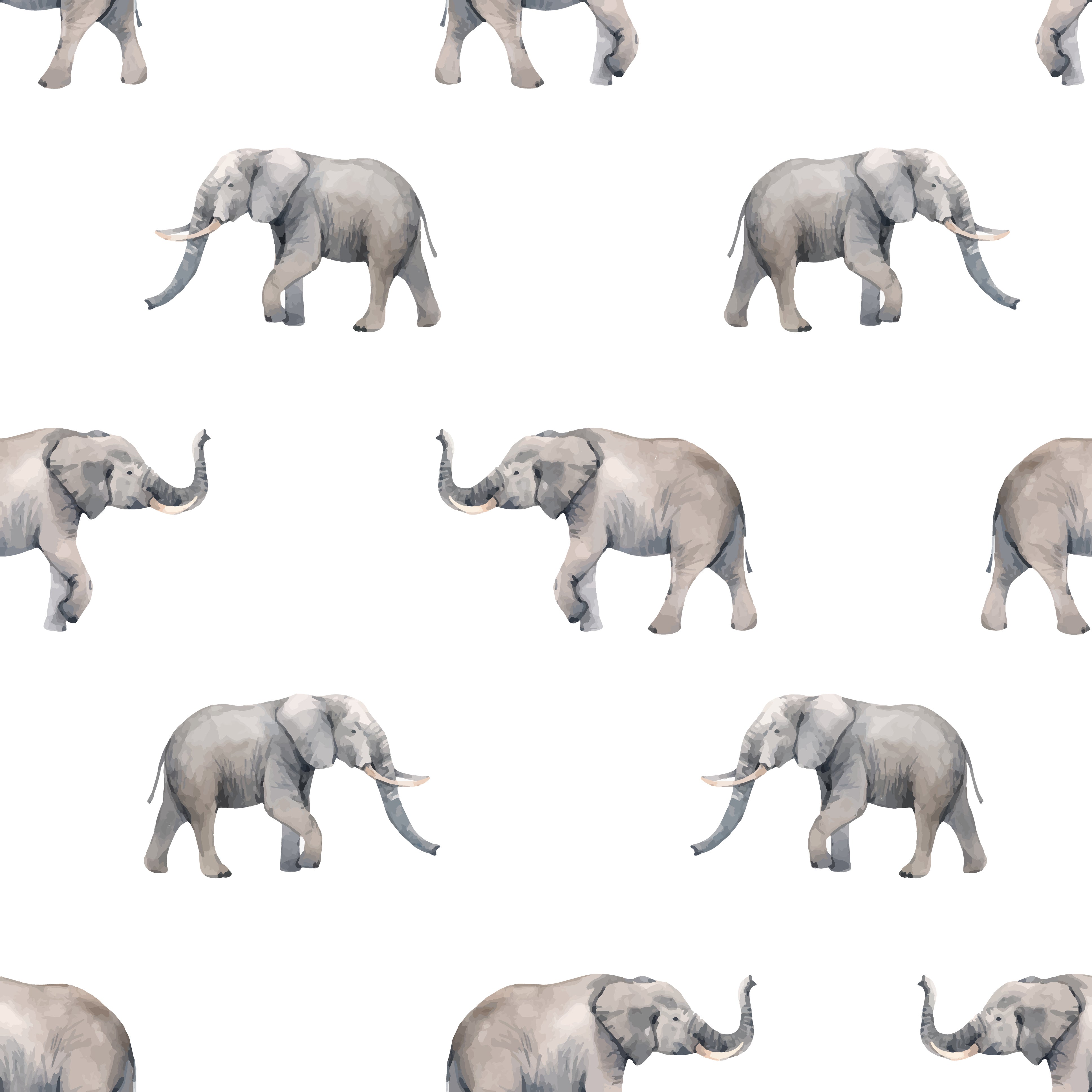 Grey watercolour elephant children's bedroom and nursery decor. Big Little Bedrooms. Free Shipping.